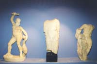 clicca per ingrandire l'immagine